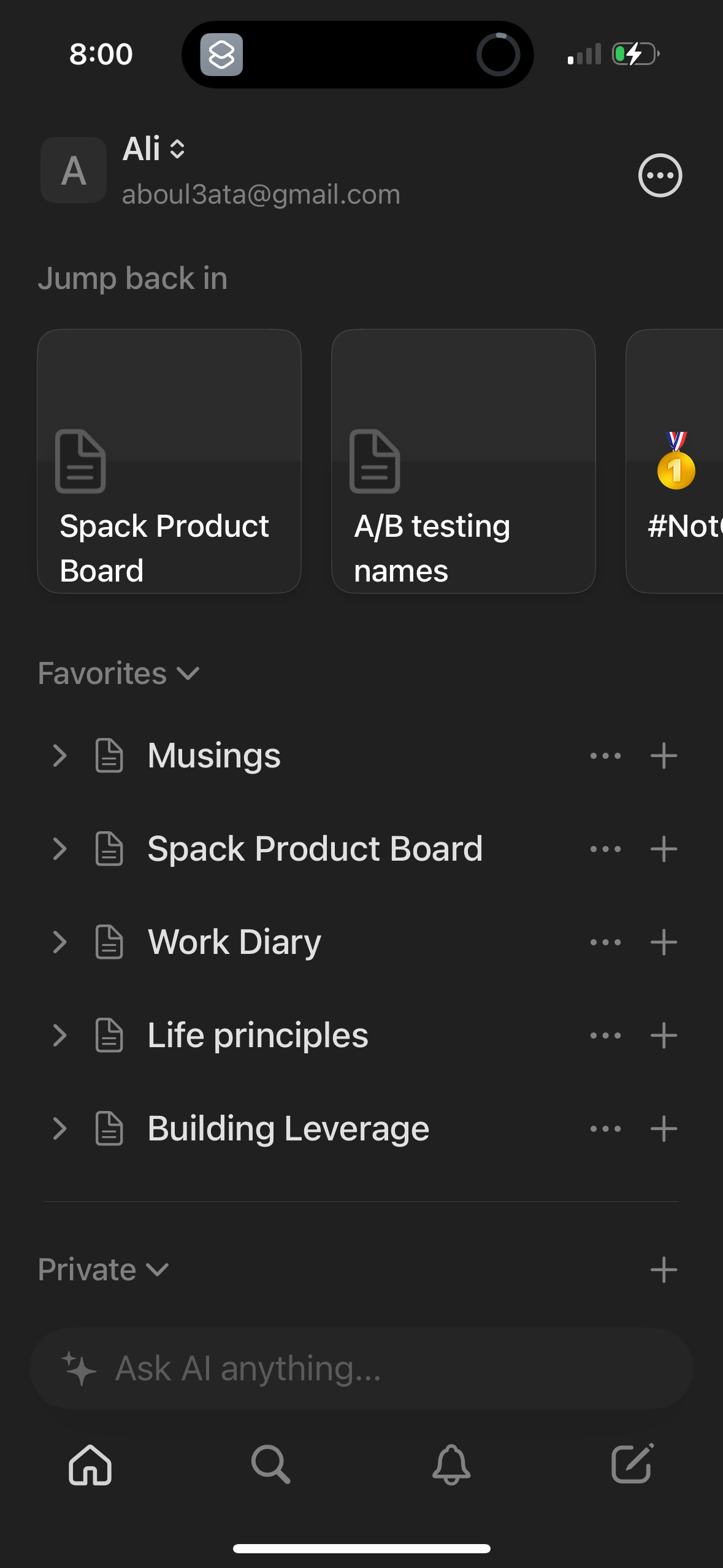 notion app screenshot 28